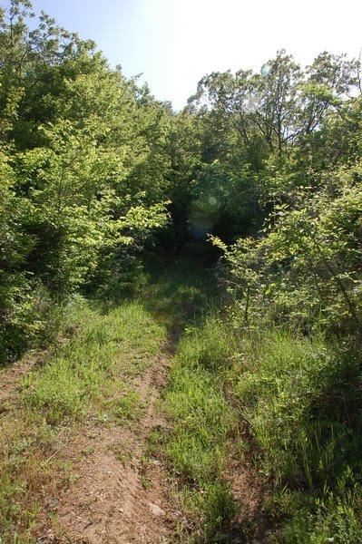 Долинне з panoramio.com - Долинне