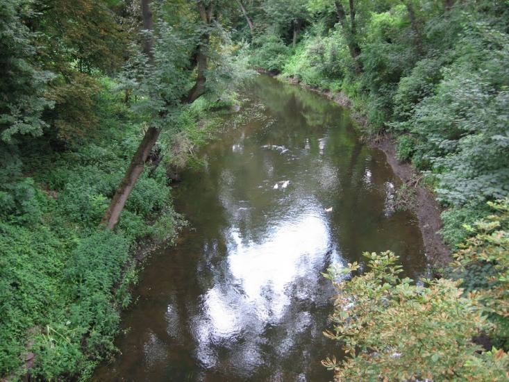 Городок з panoramio.com - Городок