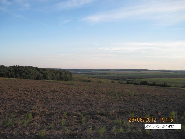 Галузинці з panoramio.com - Галузинцы