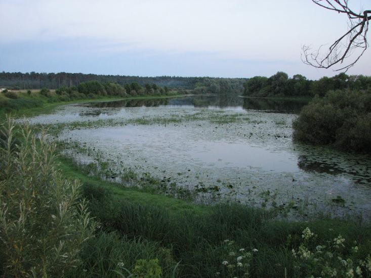 Горбове з panoramio.com - Горбовое