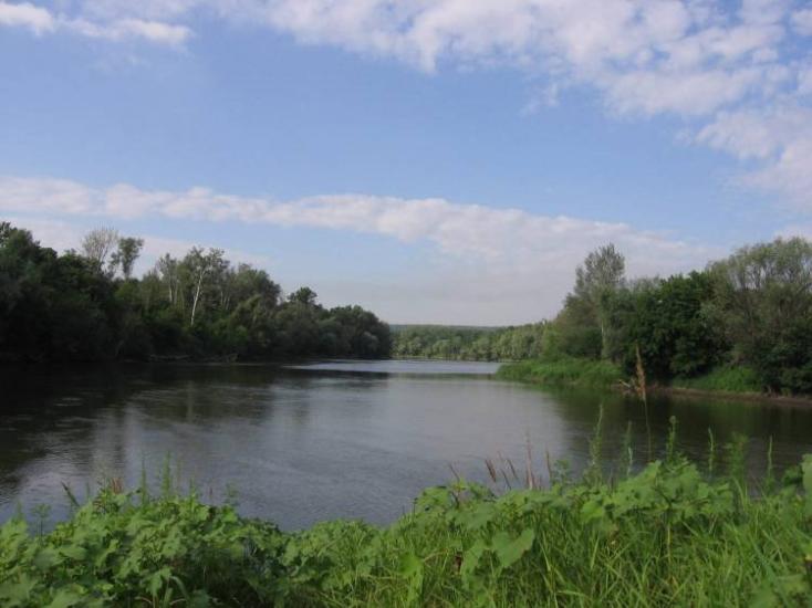 Піщане з panoramio.com - Pischane