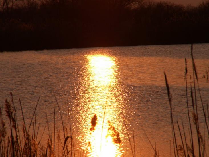 Вільнянськ з panoramio.com - Вільнянськ