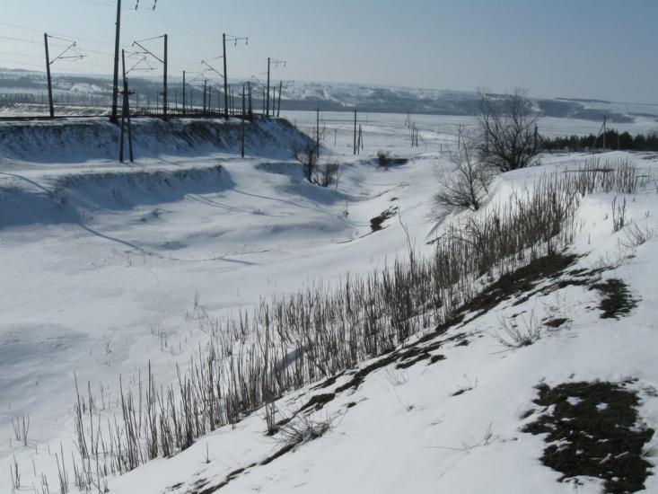 Веселинове з panoramio.com - Веселинове