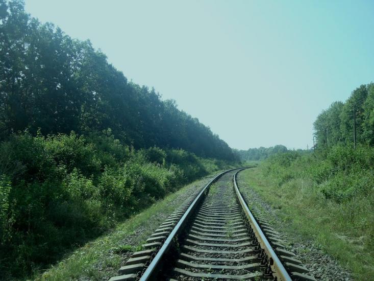 Панівці з panoramio.com - Panivtsi