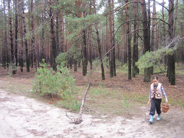 Глібівка з panoramio.com - Глебовка