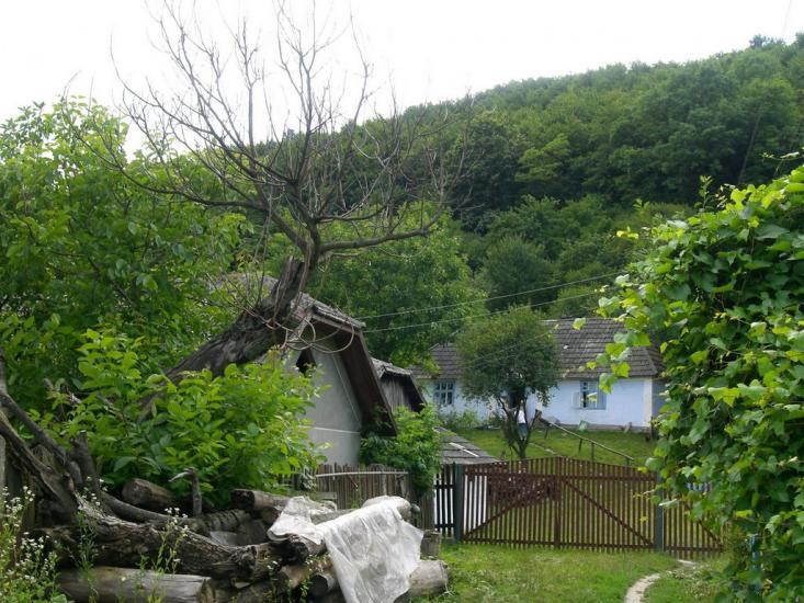 Біла з panoramio.com - Біла