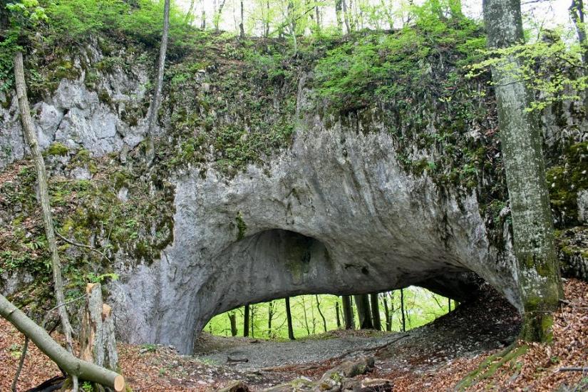 Кічерели з panoramio.com - Kicherely