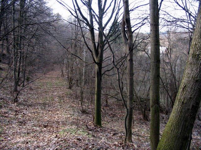Балико-Щучинка з panoramio.com - Балыко-Щучинка