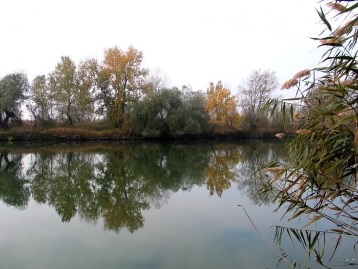 Яськи з panoramio.com - Jasky