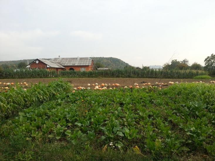 Фітьків з panoramio.com - Фітьків