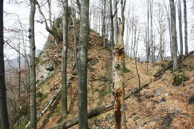 Кічерели з panoramio.com - Кічерели