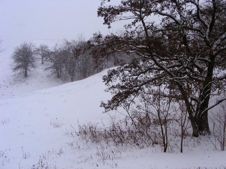 Шишаки з panoramio.com - Shishaki