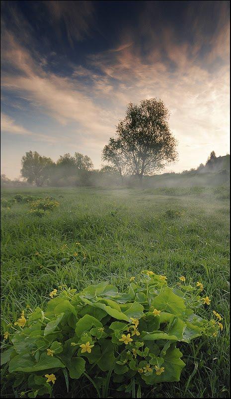 Владиславка з panoramio.com - Vladyslavka