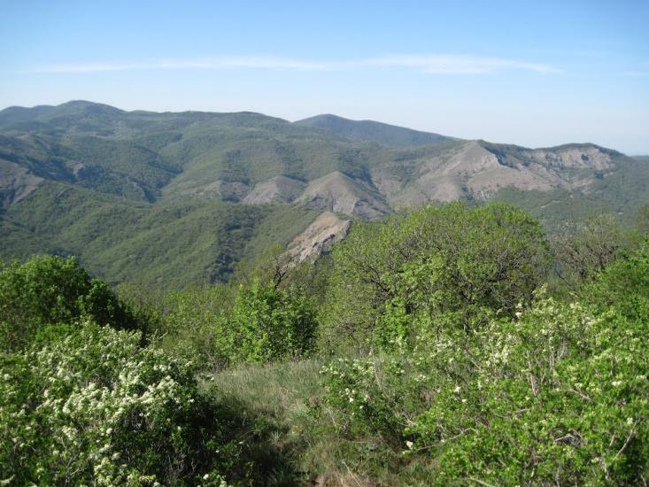 Міжріччя з panoramio.com - Міжріччя
