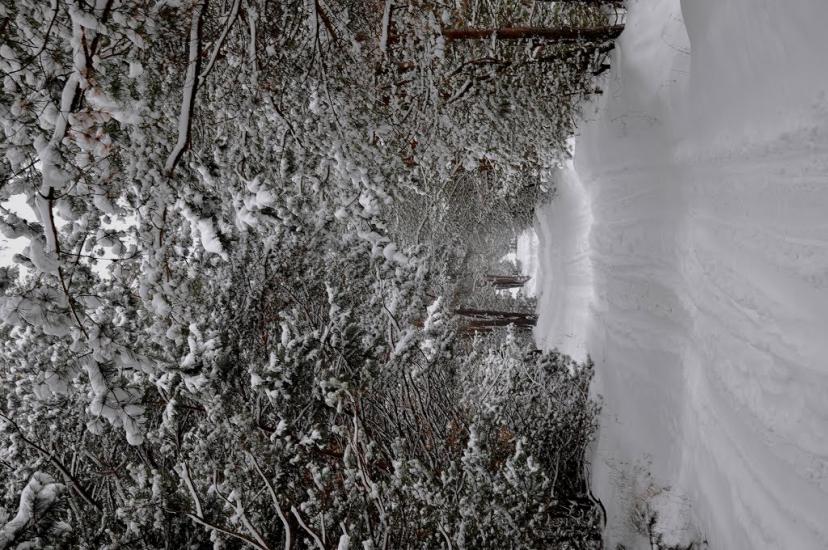 Гущинці з panoramio.com - Гущинці