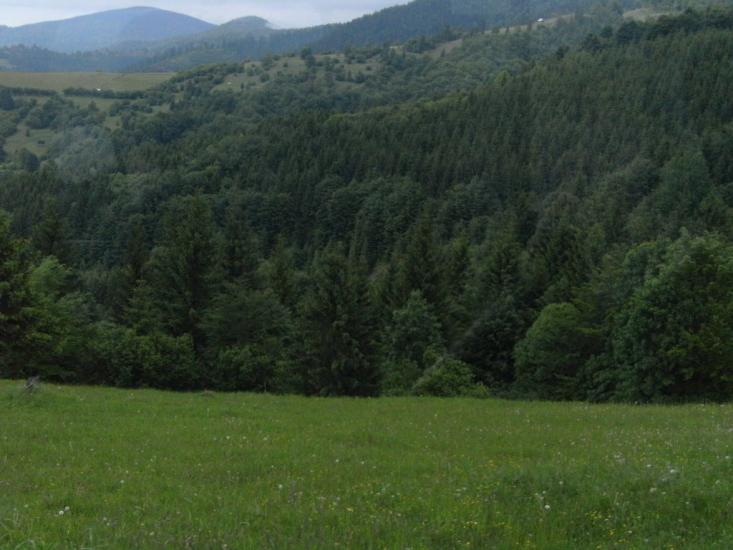 Березово з panoramio.com - Березово