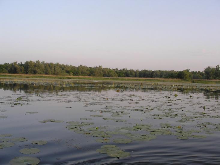 Кринки з panoramio.com - Кринки