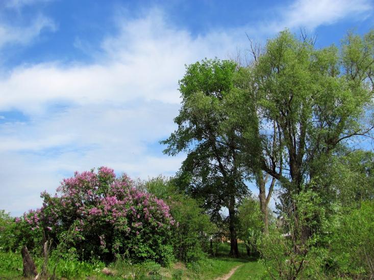 Сарни з panoramio.com - Сарни