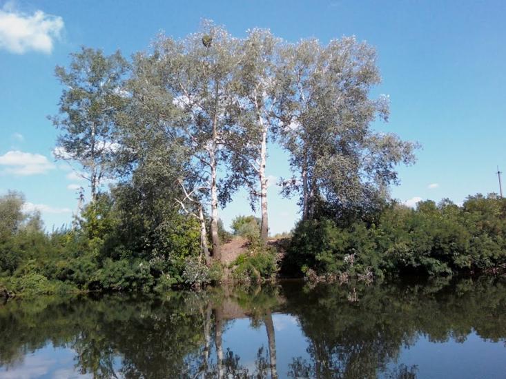 Осещина з panoramio.com - Осещина