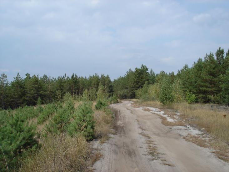 Ровжі з panoramio.com - Ровжи