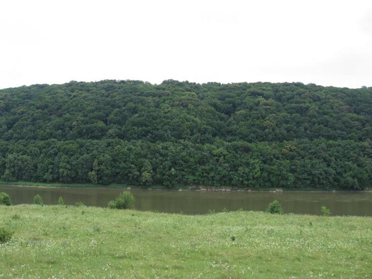 Петрів з panoramio.com - Петров