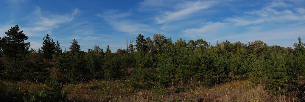 Левківка з panoramio.com - Левковка