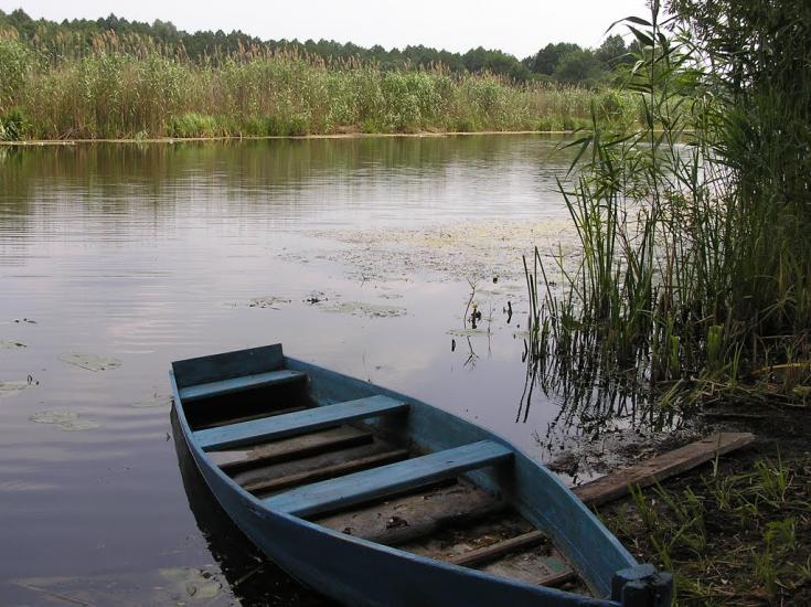 Красна Лука з panoramio.com - Красна Лука