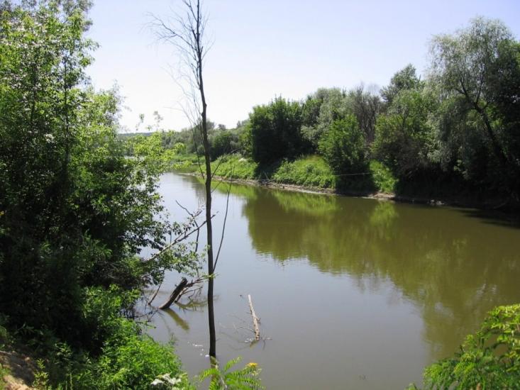 Піщане з panoramio.com - Pischane