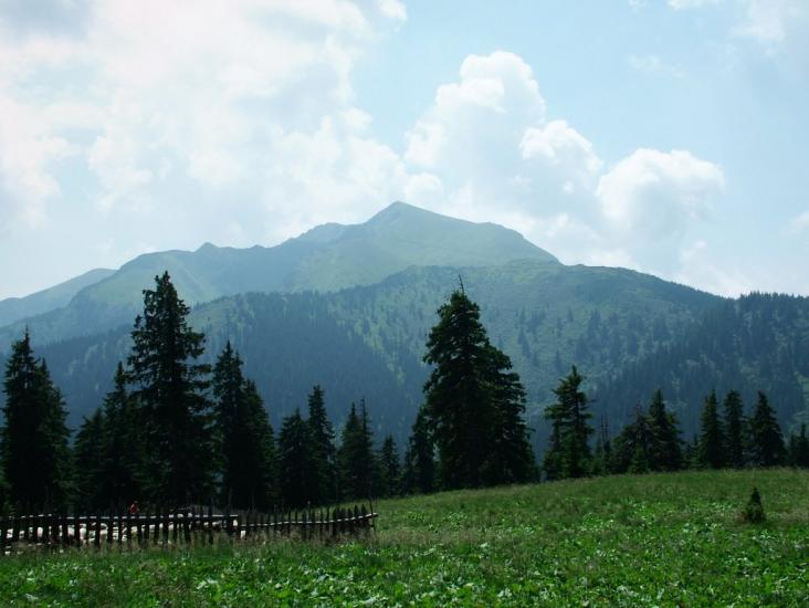 Видричка з panoramio.com - Видричка