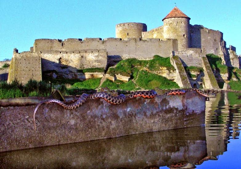 Білгород-Дністровський з panoramio.com - Білгород-Дністровський