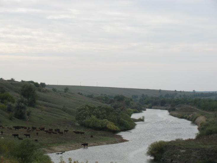 Архангельське з panoramio.com - Архангельське