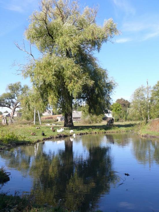 Плоске з panoramio.com - Плоске