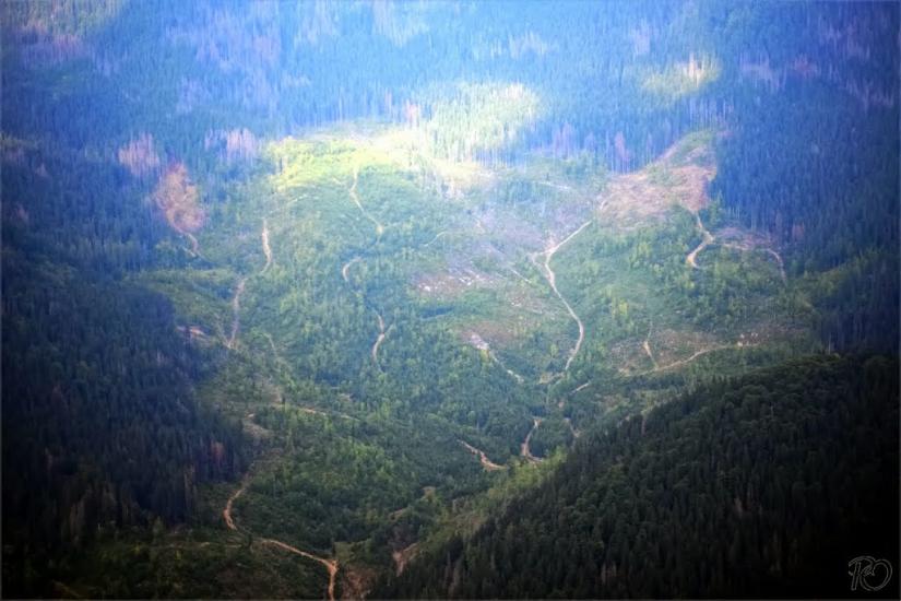 Береги з panoramio.com - Береги
