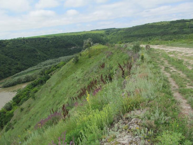 Китайгород з panoramio.com - Китайгород