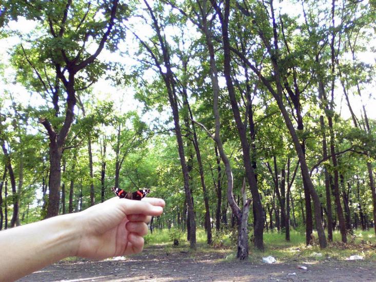 Созонівка з panoramio.com - Созоновка