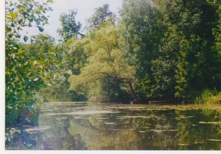 Медведівка з panoramio.com - Медведівка