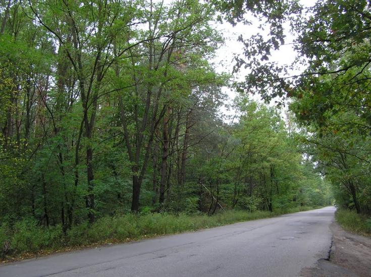 Проліски з panoramio.com - Пролески