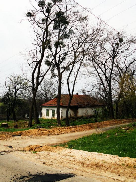Нерубайка з panoramio.com - Нерубайка