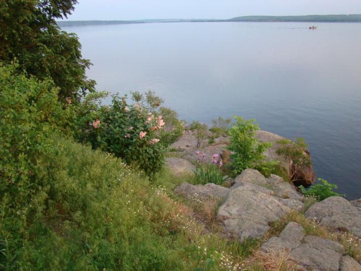 Келеберда з panoramio.com - Келеберда