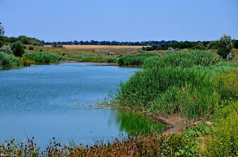 Комінтернівське з panoramio.com - Kominternivske