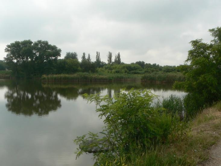 Очеретувате з panoramio.com - Очеретувате