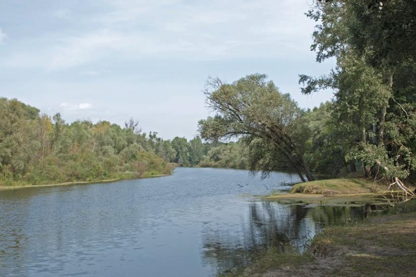 Баранівка з panoramio.com - Барановка