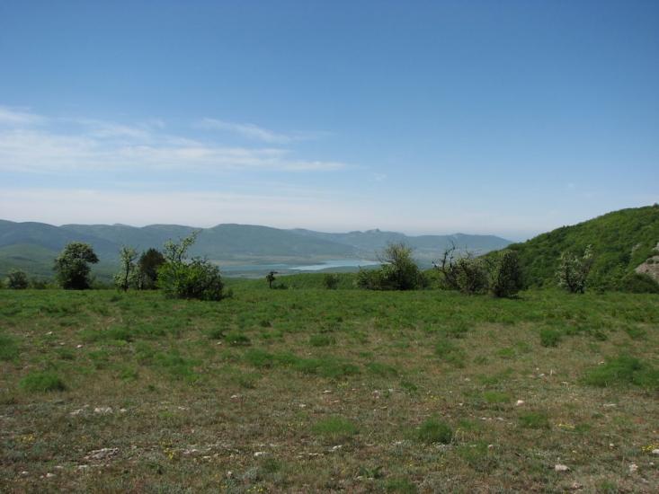 Поляна з panoramio.com - Поляна