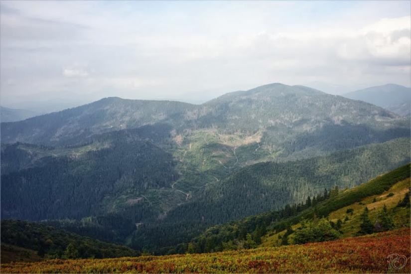 Береги з panoramio.com - Береги