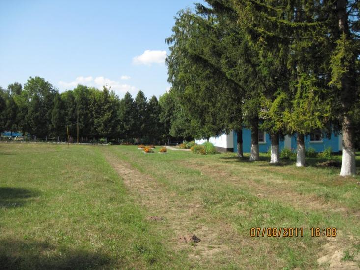 Галузинці з panoramio.com - Galuzyntsi