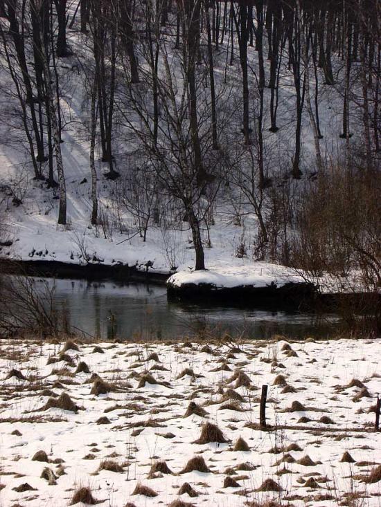 Кринцілів з panoramio.com - Кринцілів