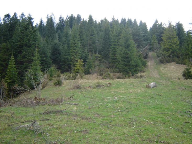 Розлуч з panoramio.com - Rozluch