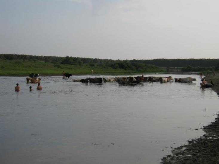 Брусилів з panoramio.com - Брусилів