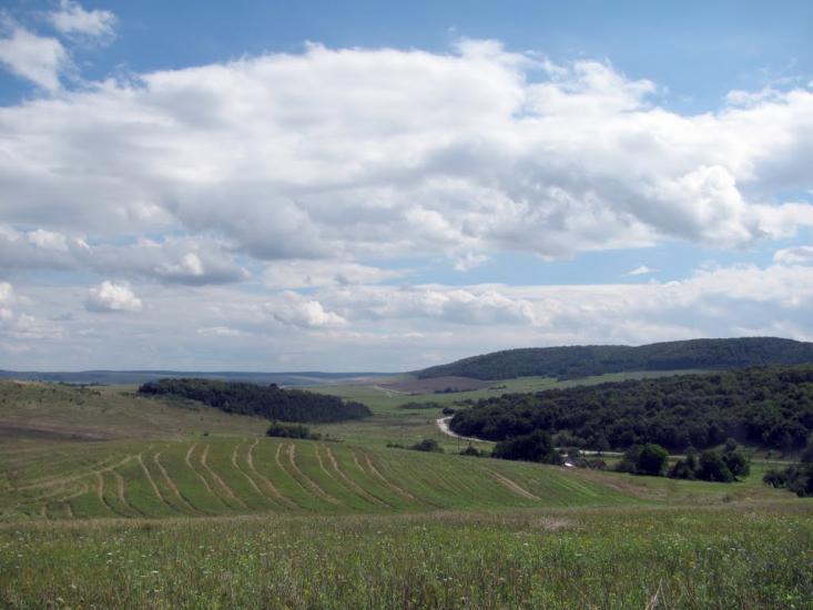 Мечищів з panoramio.com - Мечищів