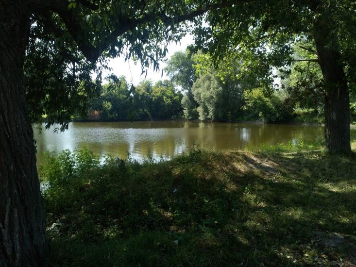 Кошляки з panoramio.com - Кошляки